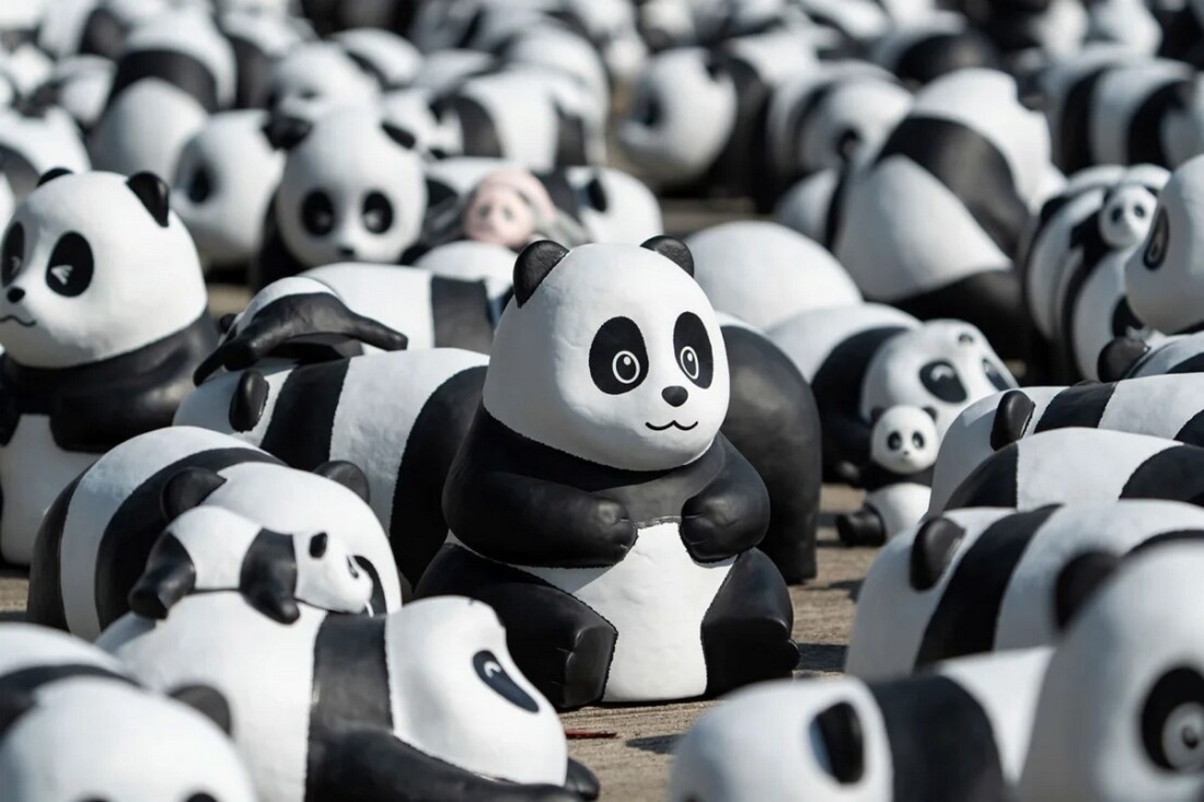 2.500 μικρά γλυπτά panda εκτίθενται στο Hong Kong